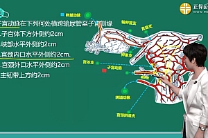 2021医学:21年妇产科主治医师 百度网盘(19.17G)