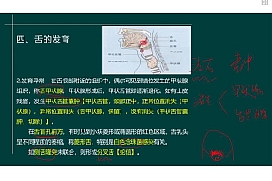 2022医学考试星恒教育:口腔执业(助理)医师 百度网盘(17.47G)