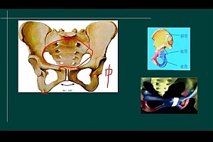 2022医学考试星恒教育:初级护师精品班 百度网盘(27.32G)