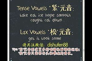 【小麦轻课】007标准美语发音教程 百度网盘(491.55M)