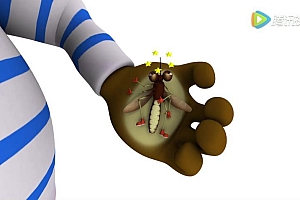 火火兔学前英语 百度网盘(223.92M)