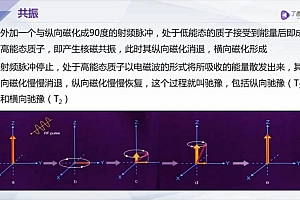 丁香园:手把手教你系统解读颅脑 MRI【共10节】【全】【268元】 百度网盘(7.19G)