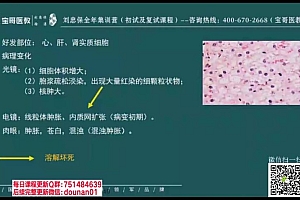 2023考研西医综合:【刘忠宝】西综全程班 百度网盘(47.03G)