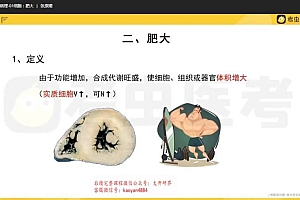 2023考研西医综合:【考虫】西综全程班 百度网盘(32.62G)