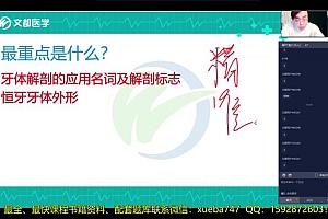 2022医学考试文都医考:口腔执业(助理)医师 百度网盘(11.26G)