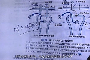 2023考研西医综合:【名师精品】改命-冲刺课程! 百度网盘(102.88G)