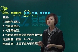 2021医学:21年主管中药师 百度网盘(56.91G)