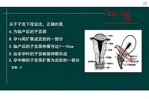 2022医学考试星恒教育:临床执业(助理)医师 百度网盘(39.76G)