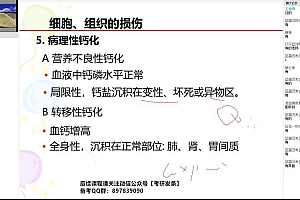 2023考研西医综合:【蓝基因】西综寒假班 百度网盘(28.87G)