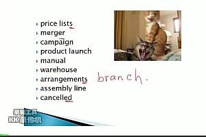 桃子姐 百度网盘(2.65G)