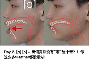 Scott学英语 百度网盘(8.86G)