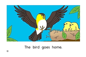 经典分级阅读RAZ点读版(彩图加音频) 百度网盘(18.83G)