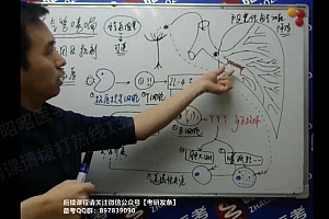 2023考研西医综合:【昭昭】西综全程班 百度网盘(313.31G)