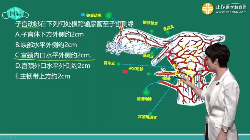 2021医学：21年妇产科主治医师 百度网盘(19.17G)