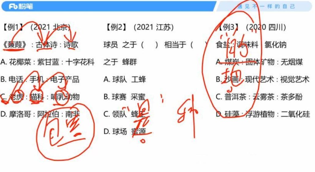 2022省考：名师理论录播课 视频截图