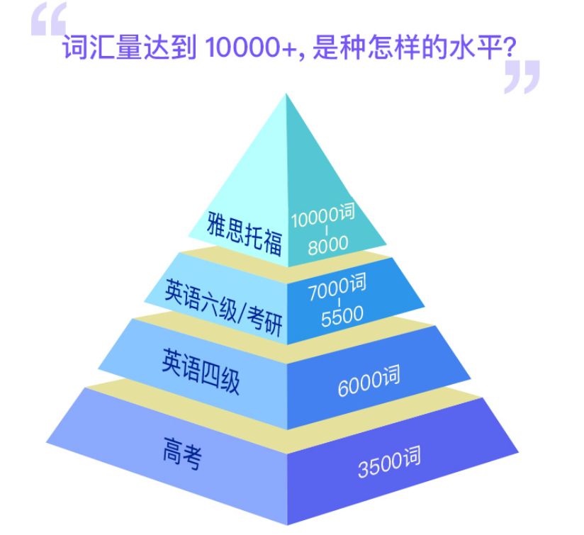 词汇量水平 金字塔图