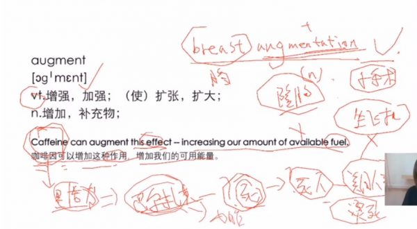 宝爷万词班 视频截图