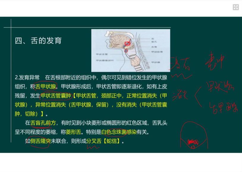 2022医学考试星恒教育：口腔执业（助理）医师 百度网盘(17.47G)