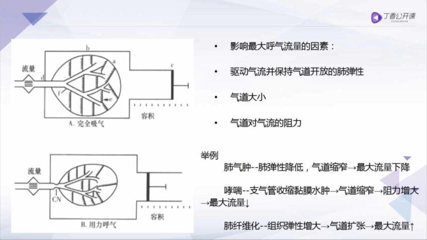 丁香园：手把手教你读懂肺功能测定【共9节】【全】【248元】 百度网盘(537.08M)