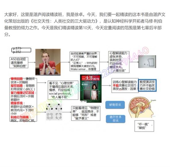 【完】《社交天性》精读班 百度网盘(282.62M)