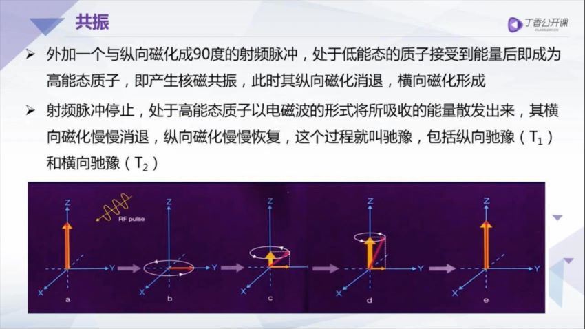 丁香园：手把手教你系统解读颅脑 MRI【共10节】【全】【268元】 百度网盘(7.19G)