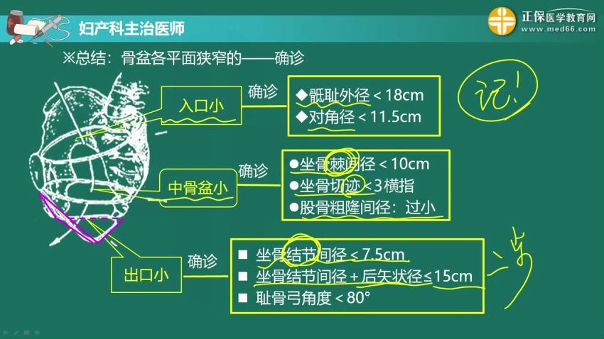 2021医学：21年妇产科主治医师 百度网盘(19.17G)