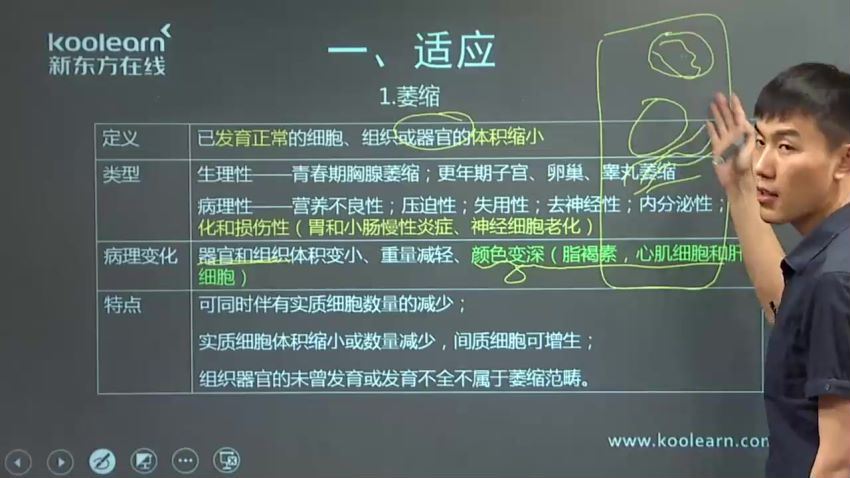 西综2021年-新东方网课-高端课程(110.21G)