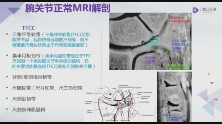 丁香园：骨关节 MRI 全面解读【共12节】【298元】 百度网盘(6.16G)